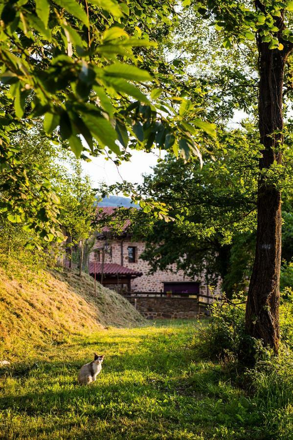 Gorosarri Daire Escoriaza Dış mekan fotoğraf